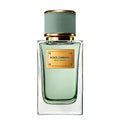 Dolce & Gabbana Velvet Infusion Eau de Parfum - fondo blanco